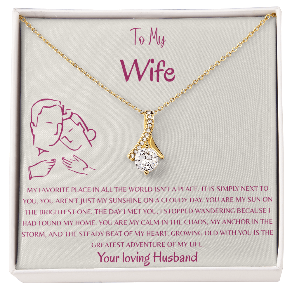 To My Wife, The Sunshine of My Life