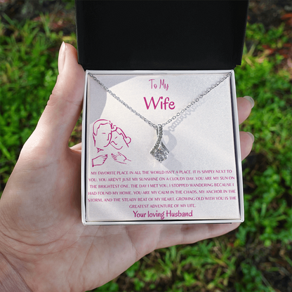 To My Wife, The Sunshine of My Life